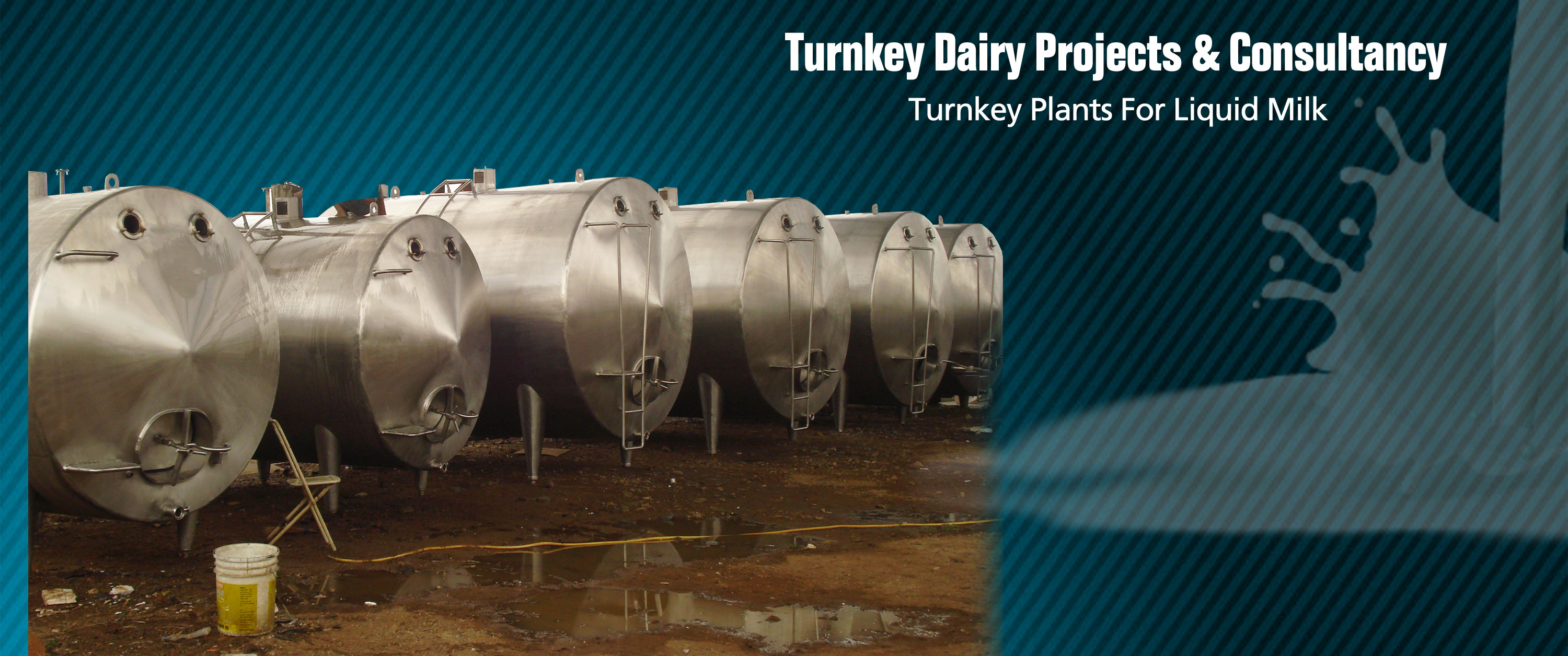 turnkey dairy projects and consultancy